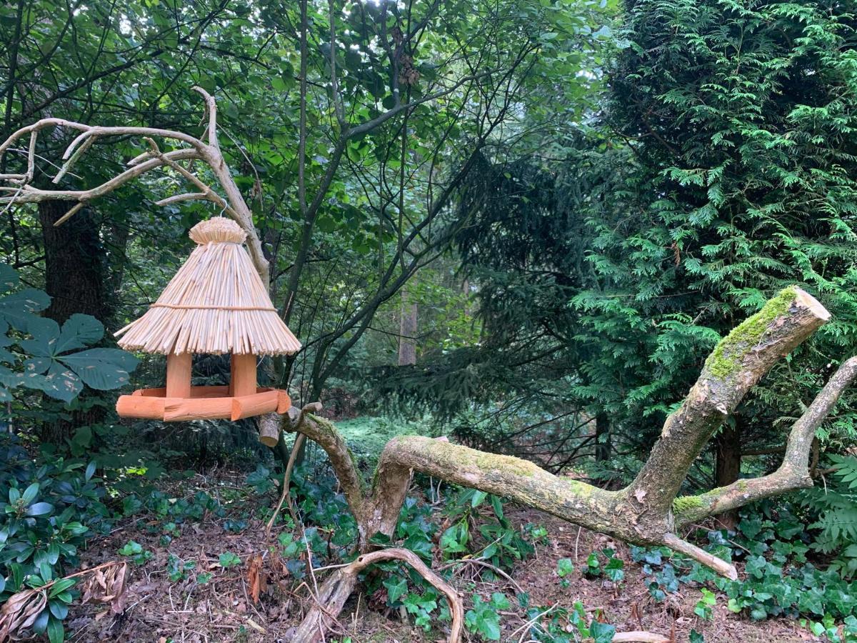 オッテルロ Zonnebos, Private Garden, Fresh Air, Relax!ヴィラ エクステリア 写真
