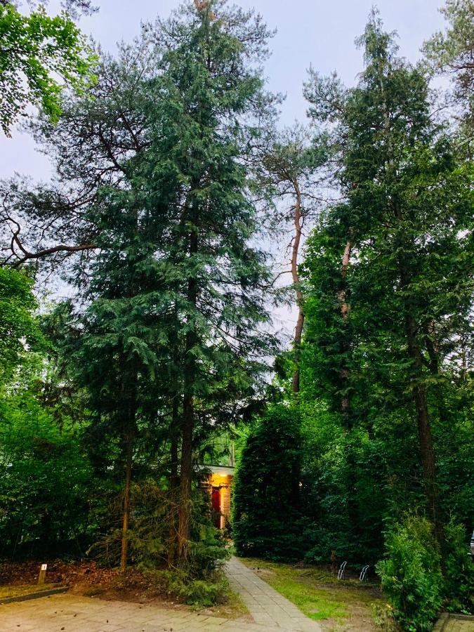 オッテルロ Zonnebos, Private Garden, Fresh Air, Relax!ヴィラ エクステリア 写真